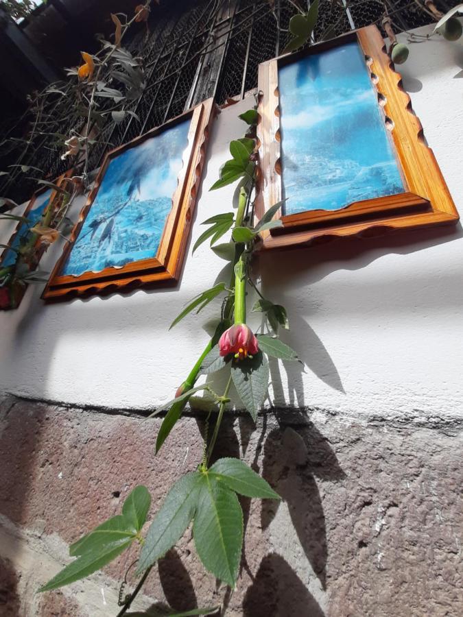 La Casa De Laura - Plaza Otel Cusco Dış mekan fotoğraf