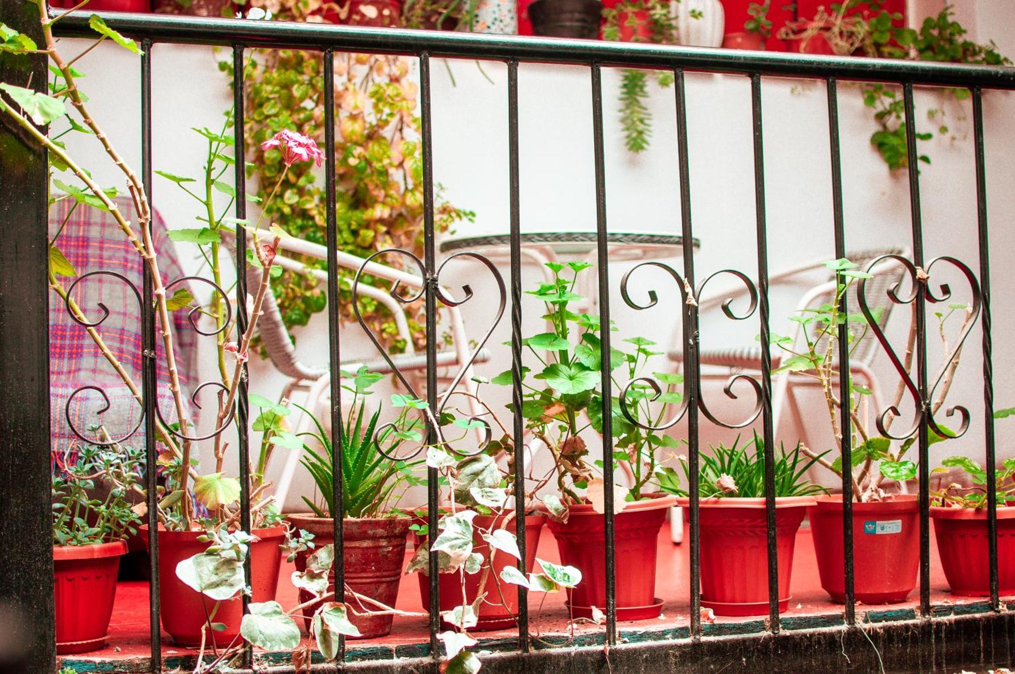 La Casa De Laura - Plaza Otel Cusco Dış mekan fotoğraf